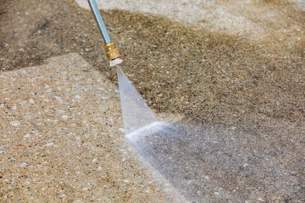 Best Roof Cleaning and Mildew Removal in Eldorado, TX